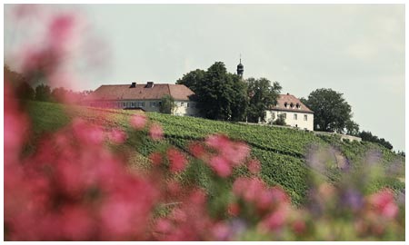 Eschendorfer Lump @ Winzers
