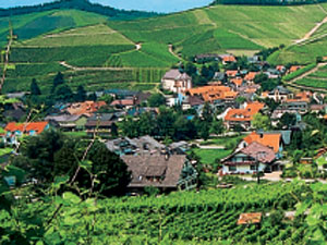 Durbach - Baden, Ortenau Durbach - Baden, Ortenau