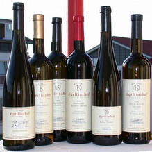 Wein Wein