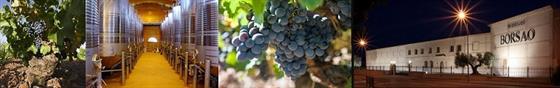 Bilder-von-Borsao Einblicke in das Weingut Borsao