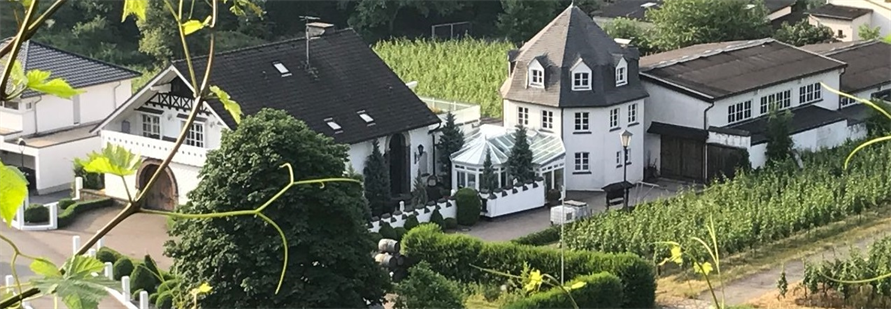 Blick von oben auf das Weingut Deutzerhof