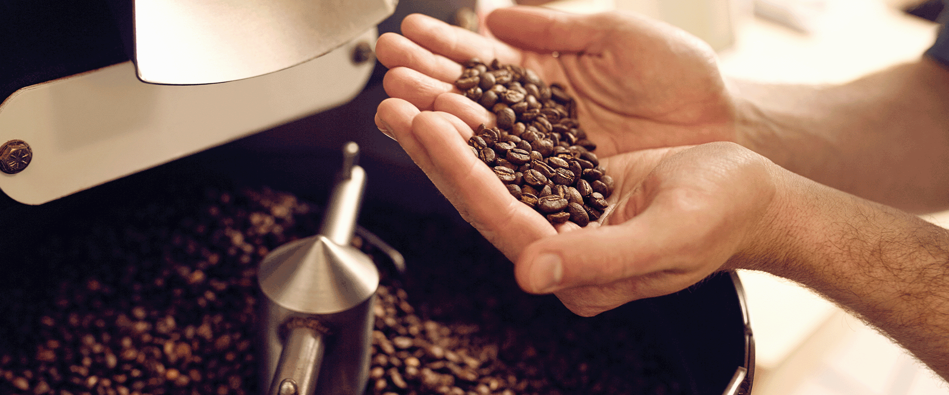 Kaffeebohnen in der Rösterei von Franco Caffè aus Italien