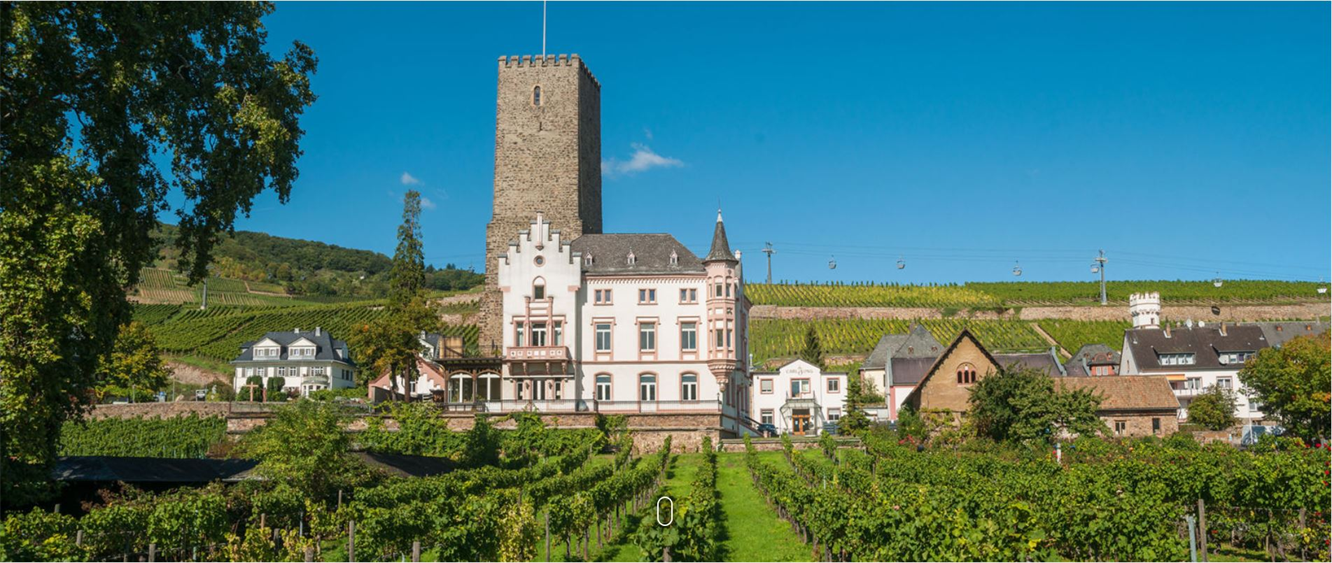 Villa und Weinreben vom Weingut Carl Jung